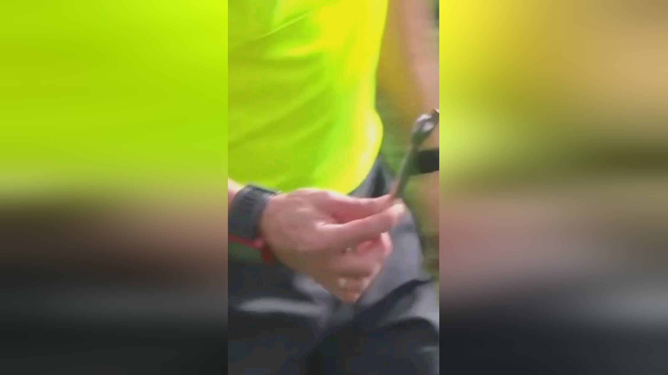 质量和竞争