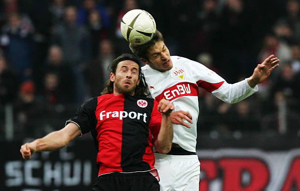 斯都在为本 斯都在为本